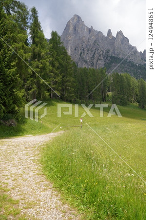 Majestic Mountain View With Lush Green Meadow Path 124948651