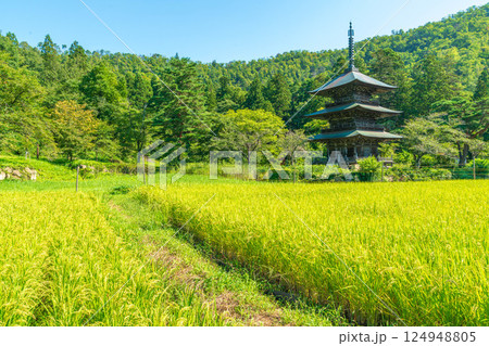 夏の青空に稲穂を前にたたずむ三重塔 夏の青空に稲穂を前にたたずむ三重塔 124948805