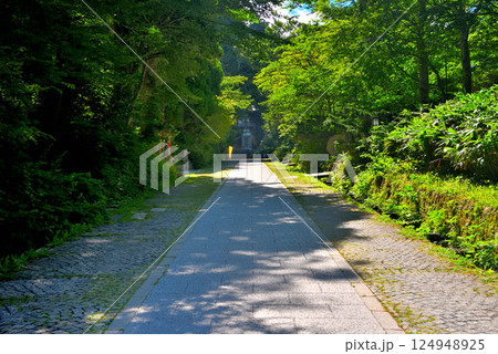 中国地方・大山隠岐国立公園・神仏習合、大神山神社の鳥居に並んで位置する大山寺・鳥取県大山町(1) 124948925