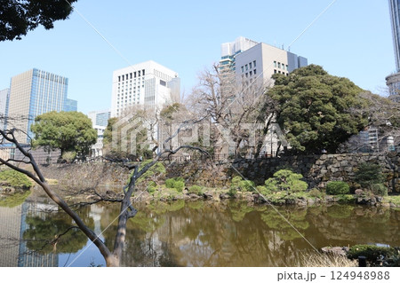 日比谷公園・心字池 124948988