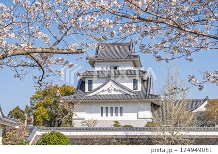 桜に囲まれた天ヶ城公園　宮崎市高岡 124949081