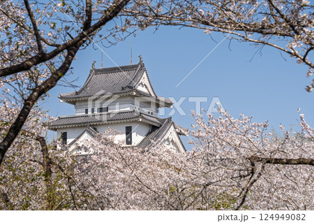 桜が咲き誇る天ヶ城公園　宮崎市高岡 124949082