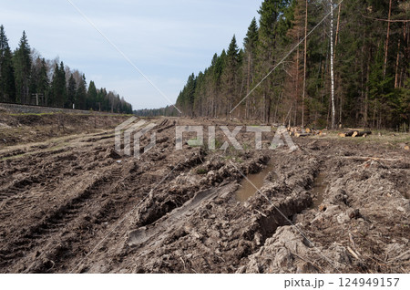 Cut down forest along the railway Cut down forest along the railway 124949157