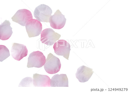 桜の花びらの背景素材 124949279