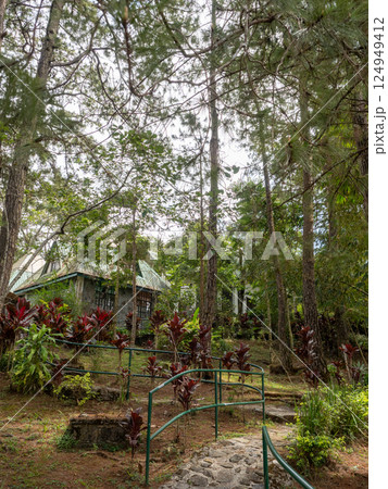 バギオのマリーノルエコロジカル自然保護区 124949412