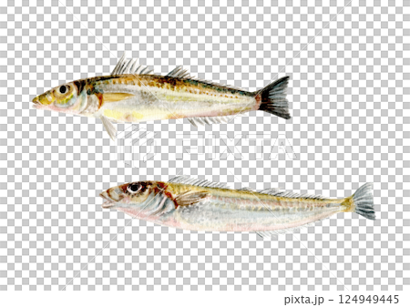 Hand-drawn watercolor painting of a kiss 124949445