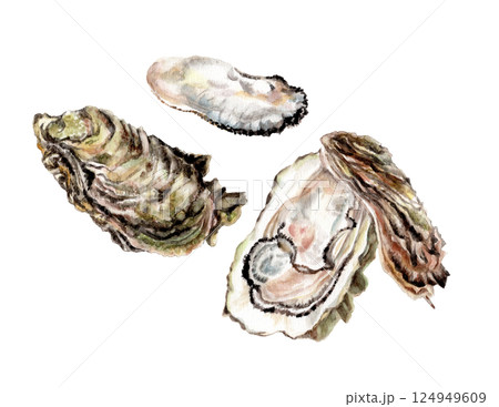カキの手描き水彩画 カキの手描き水彩画 124949609