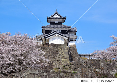 桜景　白河小峰城 124949627