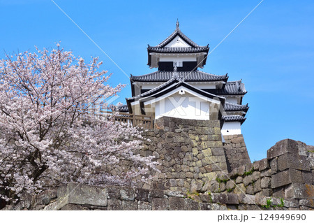 桜景 白河小峰城 桜景 白河小峰城 124949690