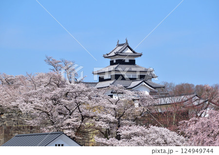 春 桜 白河小峰城 春 桜 白河小峰城 124949744