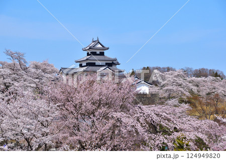 春 桜 白河小峰城 春 桜 白河小峰城 124949820