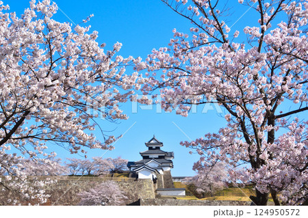 春 桜 白河小峰城 春 桜 白河小峰城 124950572