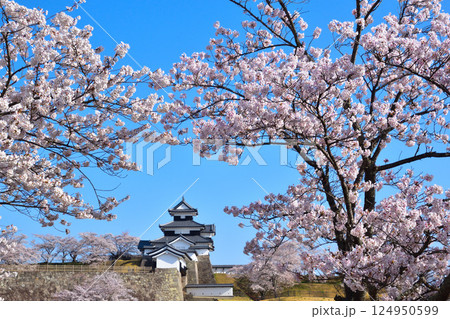 春 桜 白河小峰城 春 桜 白河小峰城 124950599