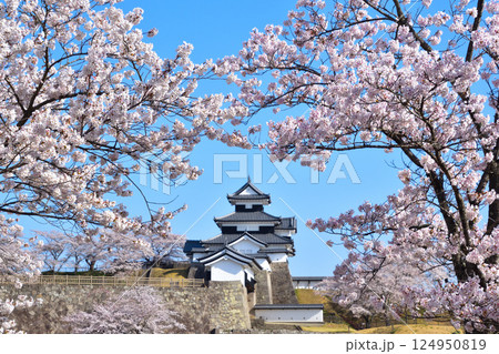 春 桜 白河小峰城 春 桜 白河小峰城 124950819