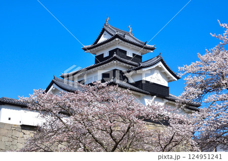 春 桜 白河小峰城 春 桜 白河小峰城 124951241