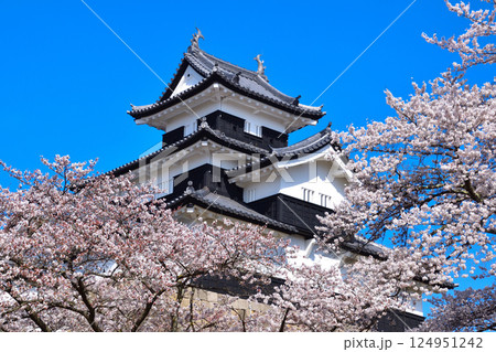 春　桜　白河小峰城 124951242