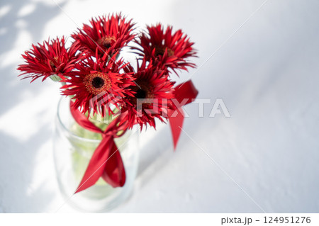 Gerbera Red Flowers in Glass Vase Gerbera Red Flowers in Glass Vase 124951276