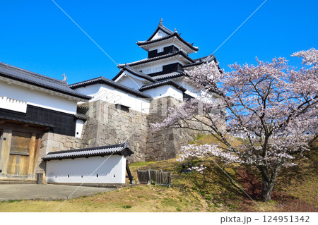 桜景 白河小峰城 桜景 白河小峰城 124951342