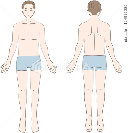 正面と背面から見た男性の身体 124951389