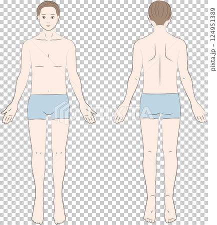正面と背面から見た男性の身体 124951389