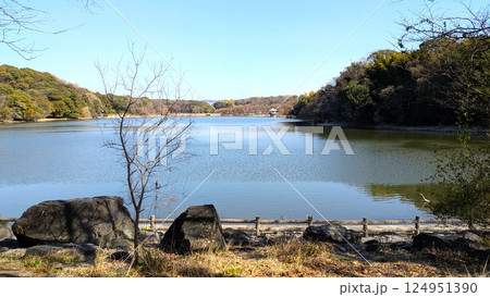 大阪枚方市の山田池公園 124951390