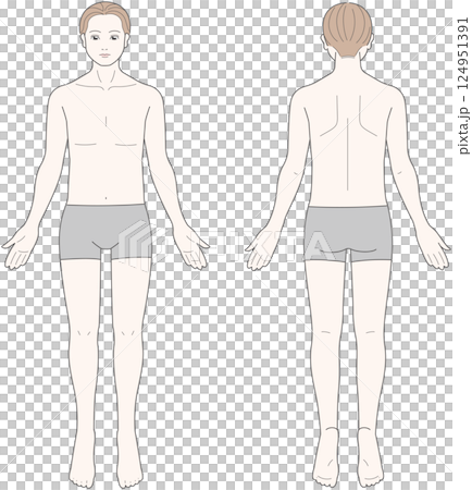 正面と背面から見た男性の身体 124951391