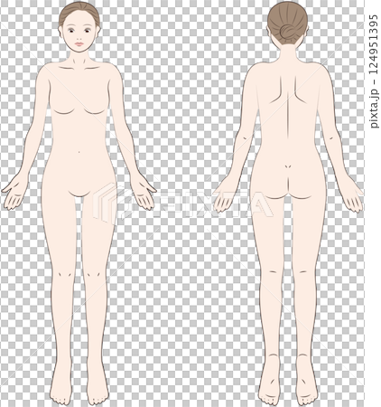 Female body seen from the front and back Female body seen from the front and back 124951395