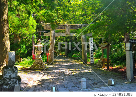 中国地方・大山隠岐国立公園・大神山神社奥宮の参道入口に建つ、歴史を感じる鳥居・鳥取県大山町(1) 124951399