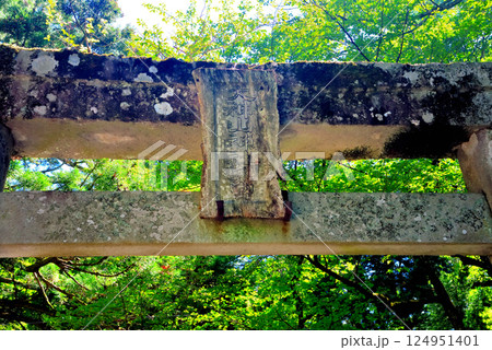 中国地方・大山隠岐国立公園・大神山神社奥宮の参道入口に建つ、歴史を感じる鳥居・鳥取県大山町(3) 124951401