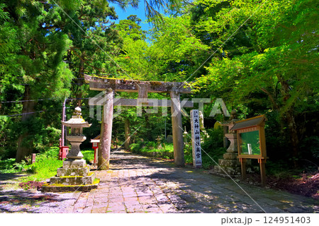 中国地方・大山隠岐国立公園・大神山神社奥宮の参道入口に建つ、歴史を感じる鳥居・鳥取県大山町(5) 124951403