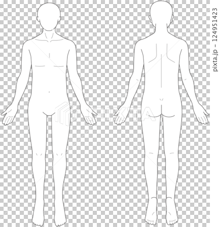 正面と背面から見た男性の身体 124951423