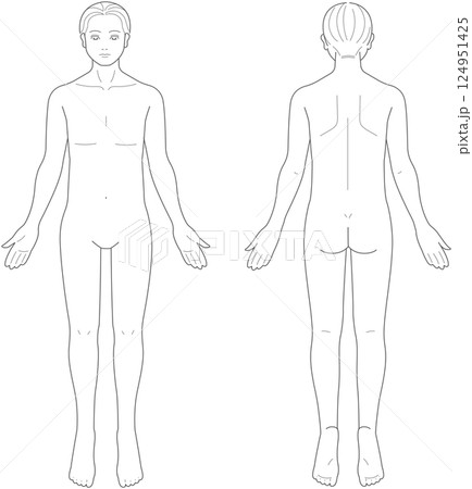 正面と背面から見た男性の身体 124951425