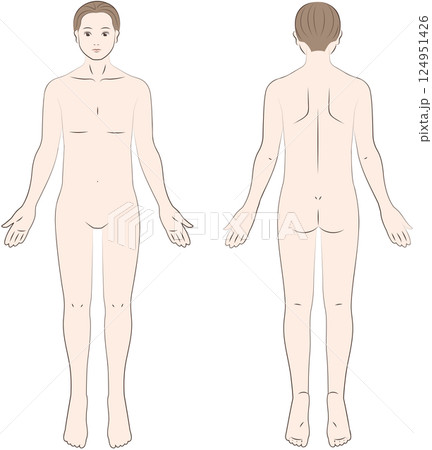 正面と背面から見た男性の身体 124951426