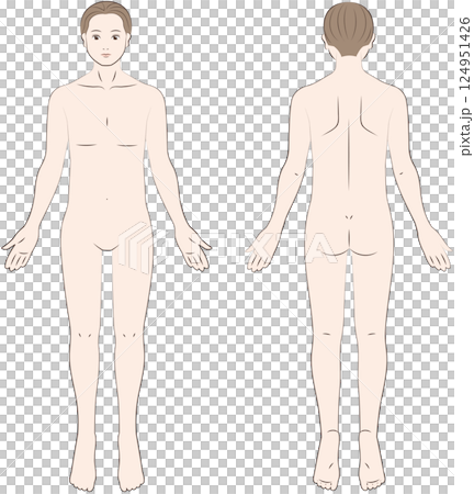 Male body seen from the front and back Male body seen from the front and back 124951426