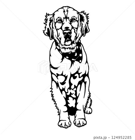 Golden Retriever Dog Breed - Pet Vector Cut file, Dog Silhouette Stencil - Cricut file 124952285