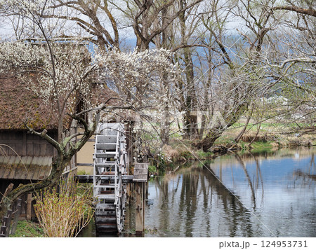 大王わさび農場水車小屋 124953731