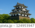 日本の城 124953947