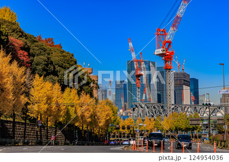 東京　品川区 北品川　新八ツ山橋付近の紅葉 124954036