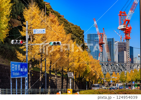 東京 品川区 北品川 新八ツ山橋付近の紅葉 東京 品川区 北品川 新八ツ山橋付近の紅葉 124954039