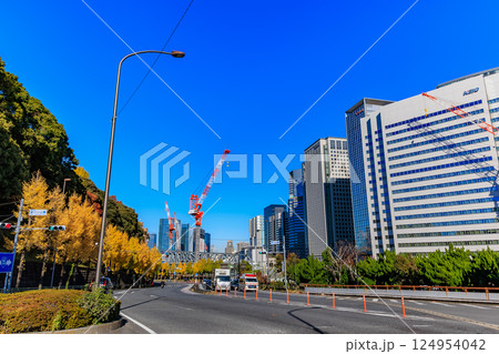 東京 品川区 北品川 新八ツ山橋付近の紅葉 東京 品川区 北品川 新八ツ山橋付近の紅葉 124954042