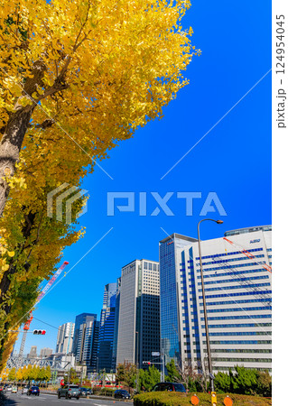 東京 品川区 北品川 新八ツ山橋付近の紅葉 東京 品川区 北品川 新八ツ山橋付近の紅葉 124954045