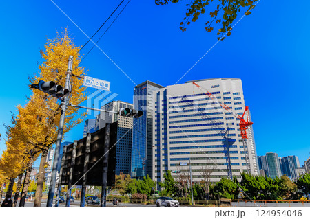 東京　品川区 北品川　新八ツ山橋付近の紅葉 124954046