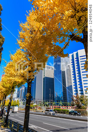 東京　品川区 北品川　新八ツ山橋付近の紅葉 124954048