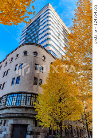 東京　中央区 日本橋　日本橋ダイヤビルディング付近の紅葉 124954055