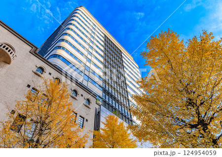 東京 中央区 日本橋 日本橋ダイヤビルディング付近の紅葉 東京 中央区 日本橋 日本橋ダイヤビルディング付近の紅葉 124954059