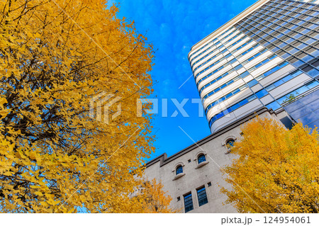 東京　中央区 日本橋　日本橋ダイヤビルディング付近の紅葉 124954061