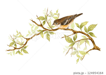 Cute little bird sit on branch with green leaves. Hand drawn illustration. 124954164