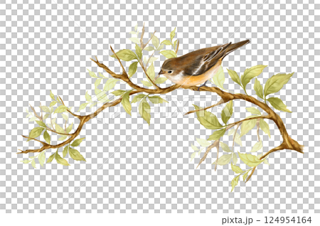 Cute little bird sit on branch with green leaves. Hand drawn illustration. 124954164