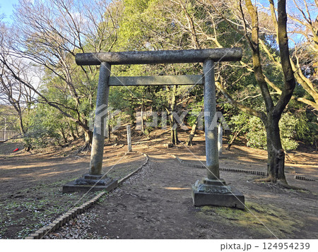 春日部八幡神社の富士塚【埼玉県春日部市】 124954239