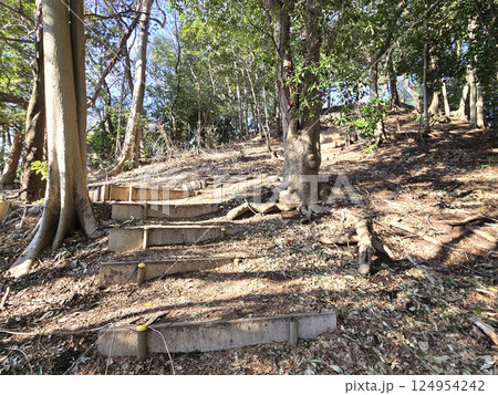 春日部八幡神社の富士塚【埼玉県春日部市】 124954242